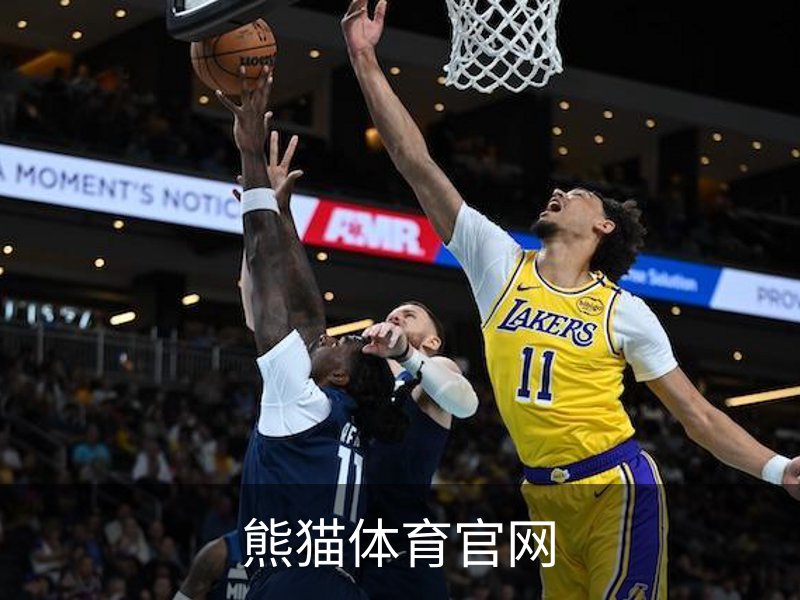 熊猫体育官网概况