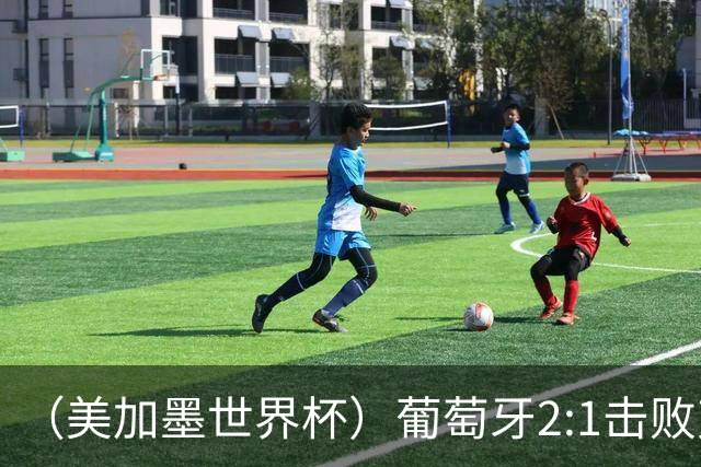 （美加墨世界杯）葡萄牙2:1击败克罗地亚 C罗获世界杯淘汰赛首球